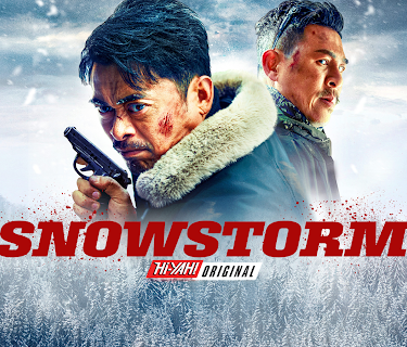 Snowstorm (2024)