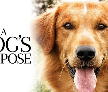 A Dog's Purpose (2017)