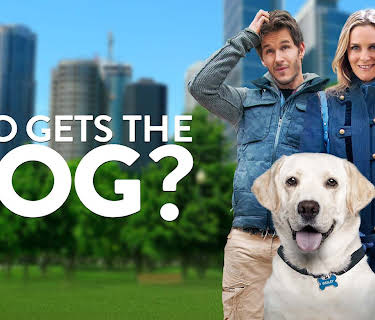 Who Gets the Dog (2016)