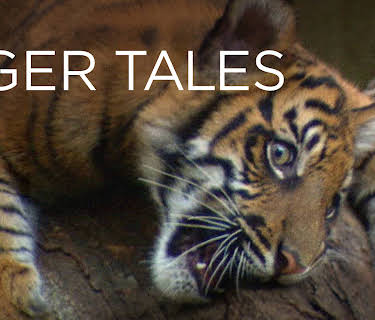 Tiger Tales (2007)