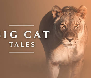 Big Cat Tales  Season 1