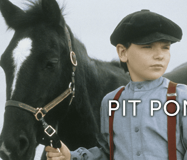 Pit Pony