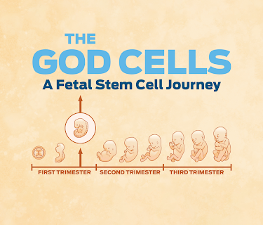 The God Cells: A Fetal Stem Cell Journey (2017)