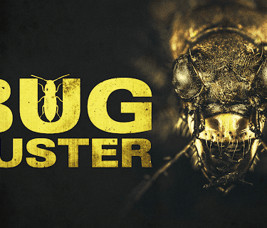 Bug Buster (1998)