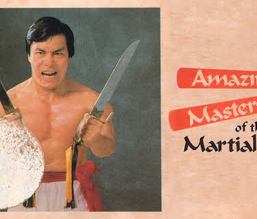 Amazing Masters of the Martial Arts (1985)