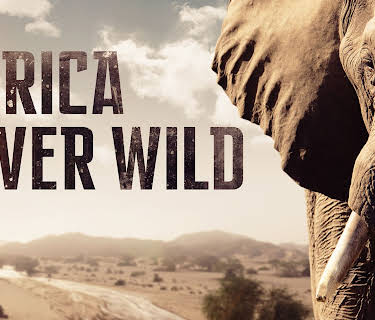 Africa River Wild