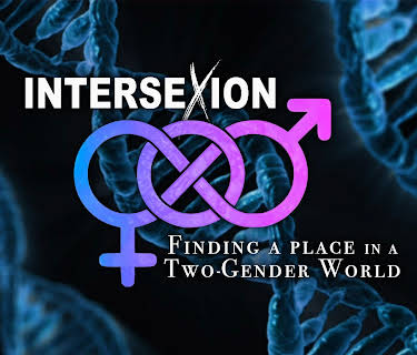 Intersexion (2013)