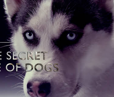 Secret Life Of Dogs (1964)