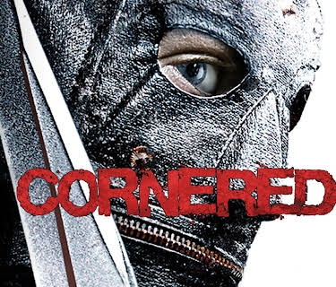 Cornered! (2008)