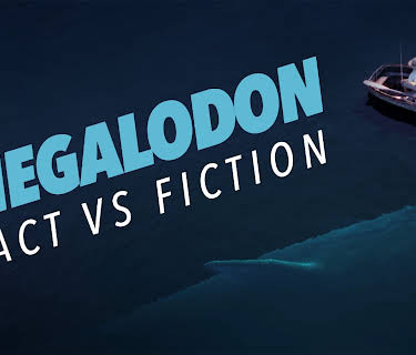 Megalodon: Fact vs Fiction