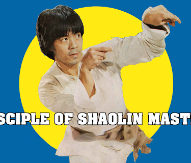 Disciple of Shaolin Master (1981)