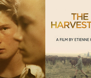 The Harvesters (2019)
