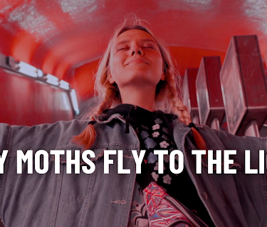 Why moths fly to the light? (2020)