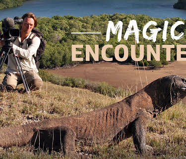 World's Wildest Encounters