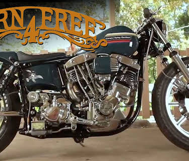 Born Free Show (2019)