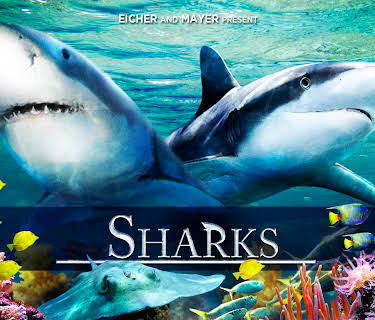 Sharks (2D) (2015)