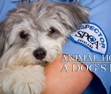Animal House: A Dog's Life