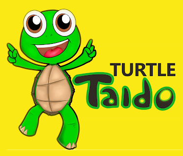 Adventures of Turtle Taido