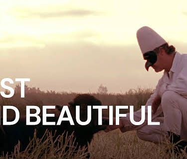 Lost and Beautiful (2016)