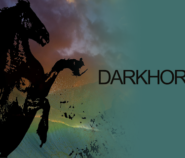 Darkhorse: The Bro Tape (2013)