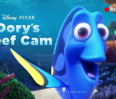 Dory's Reef Cam (2020)