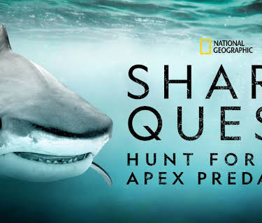 Shark Quest: Hunt for the Apex Predator