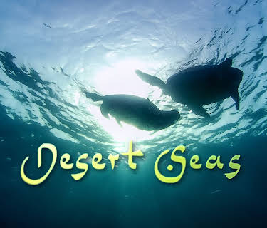 Desert Seas (2011)