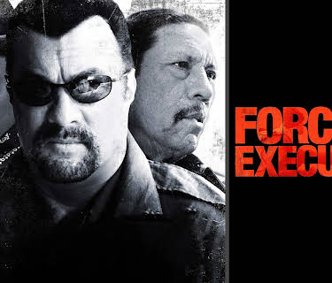 Force of Execution (2013)