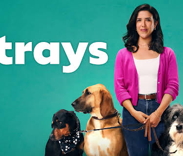 Strays S1