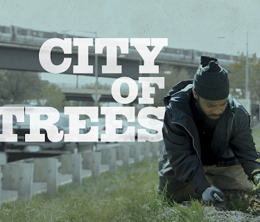 City of Trees (2015)