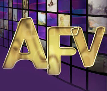America's Funniest Home Videos Collection 1