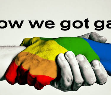 How We Got Gay (2013)