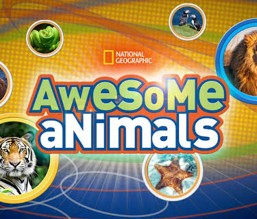 Awesome Animals