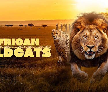 African Wildcats (2025)