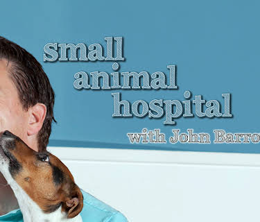 Small Animal Hospital