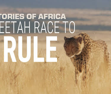 Stories of Africa: Cheetah Race to Rule (2022)