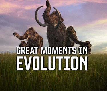 Great Moments in Evolution