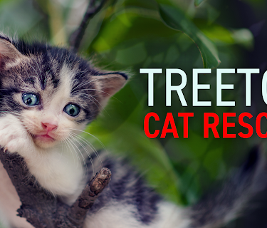 Treetop Cat Rescue