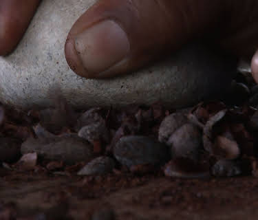 The Chocolate Farmer (2011)