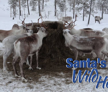 Santa's Wild Home (1982)