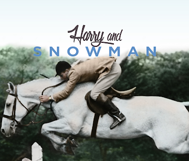Harry & Snowman (2016)