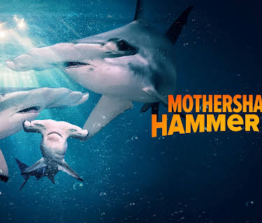 Mothersharker: Hammer Time