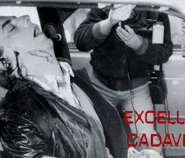 Excellent Cadavers (2006)