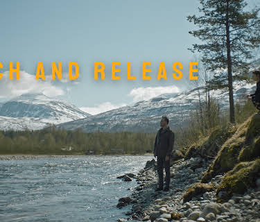 Catch and Release S01