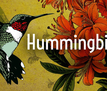 Hummingbirds: Jewelled Messengers (2013)