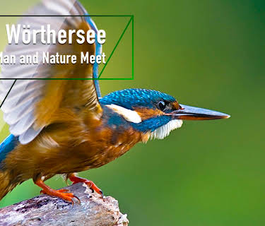 Lake Wörthersee - Where Man and Nature Meet (2011)