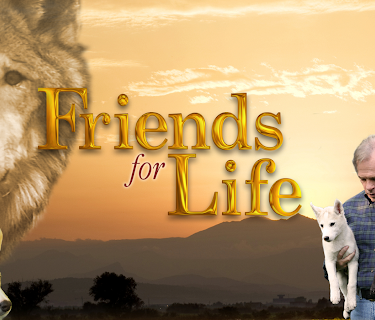 Friends For Life (2008)