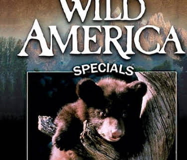 Wild America Specials: Wacky Babies (2000)