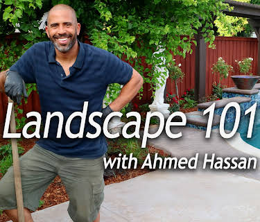 Landscape 101 with Ahmed Hassan