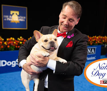The National Dog Show (2014) (2026)